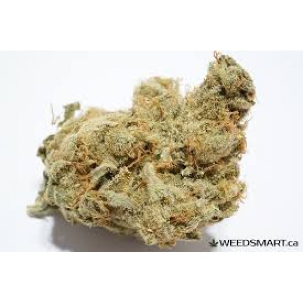Golden Goat - REDUCED to $35 1/4oz